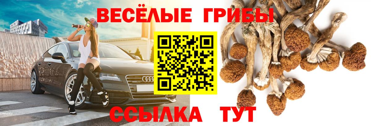 Псилоцибиновые грибы мухоморы  где можно купить   Кореновск  Вход с VPN  Галлюциногенные грибы мицелий 